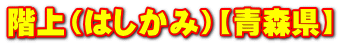 Ki͂݁jyXz