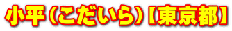 ijysz