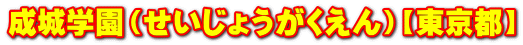 wi傤jysz